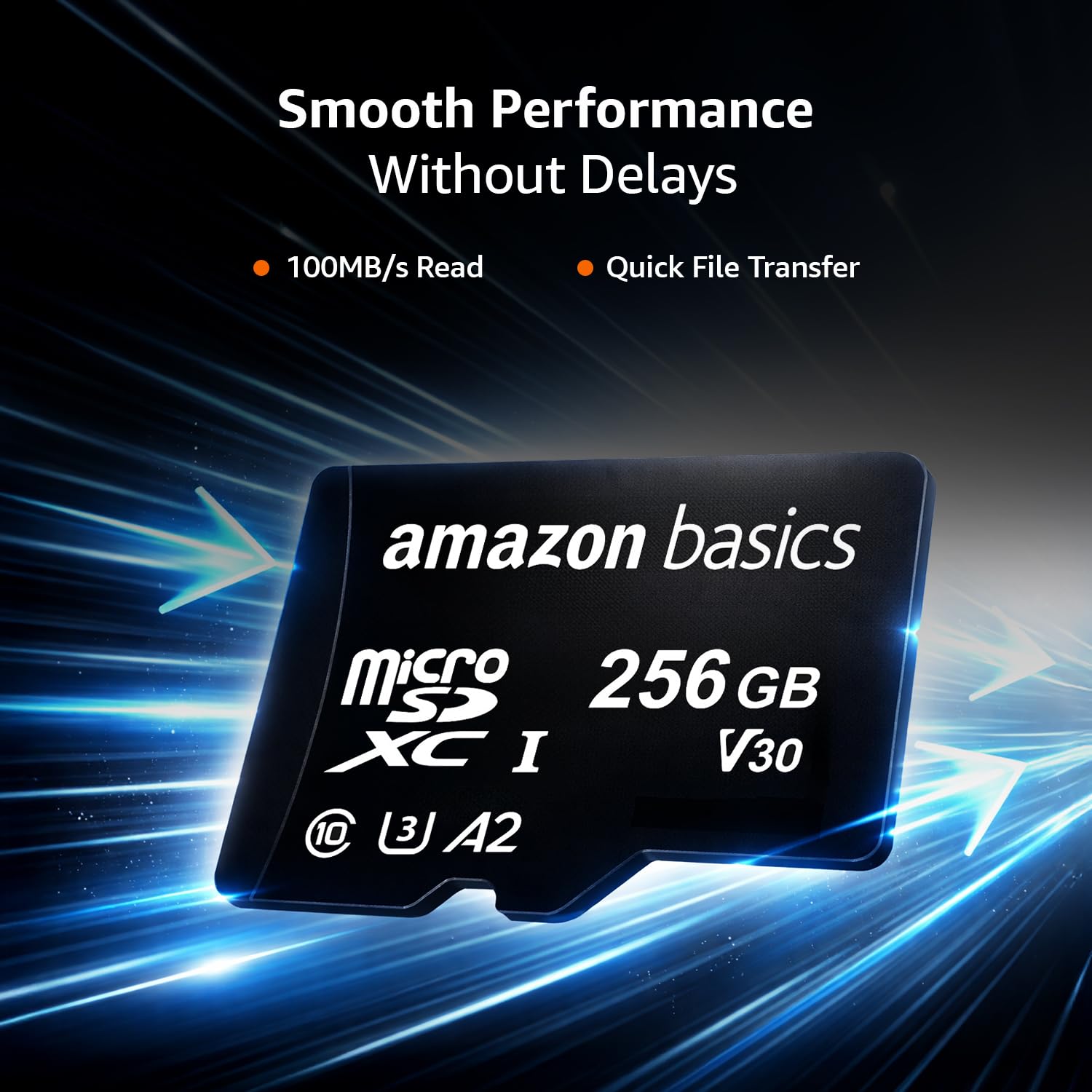 Amazon Basics 256GB MicroSDXC Memory Card with Full Size Adapter